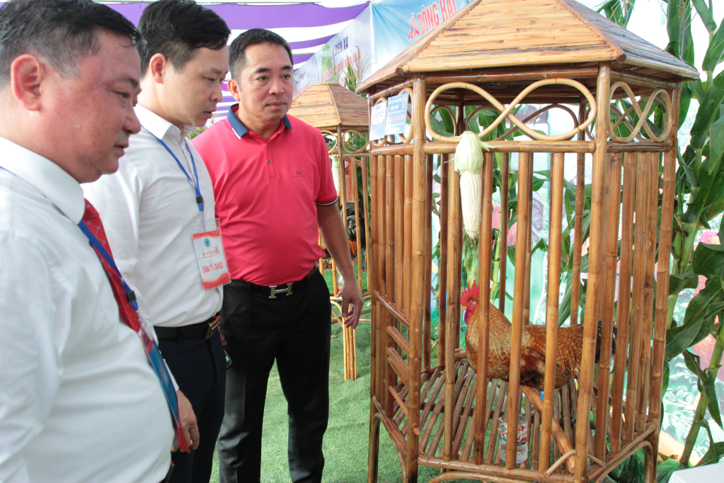 Nhiều thí sinh gà gây chú ý đối với Ban Tổ chức, Bam Giám khảo.