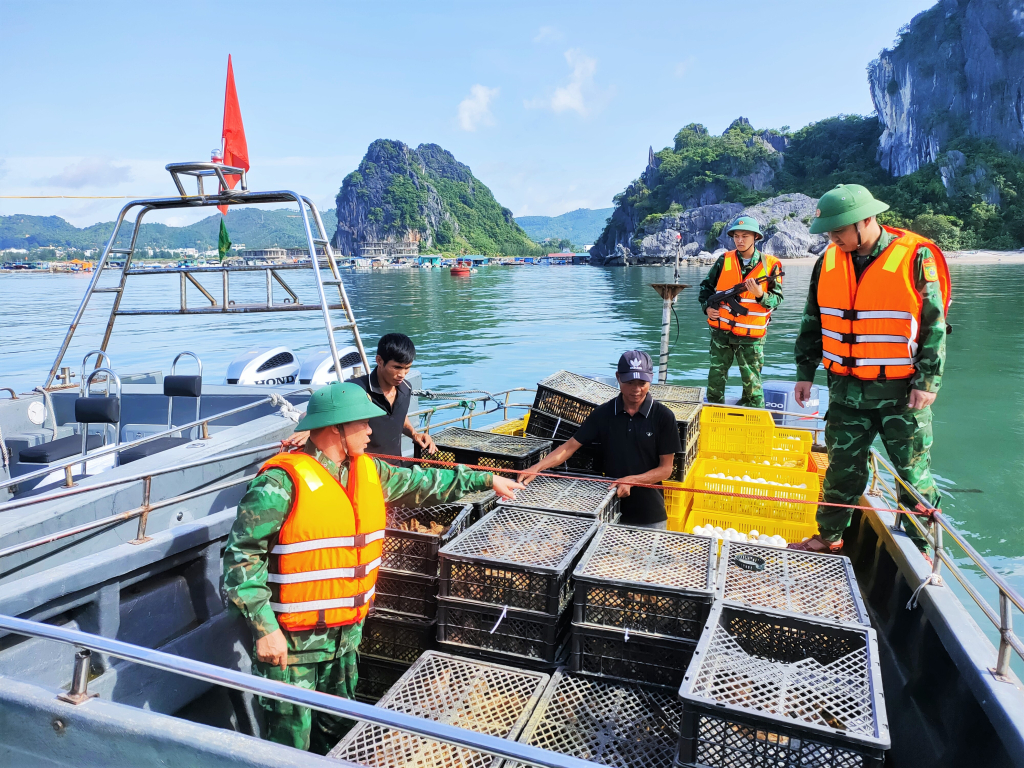 Tang vật thu giữ tại tàu.