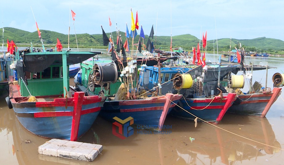 Huyện Hải Hà có tổng số 394 tàu cá đang hoạt động.