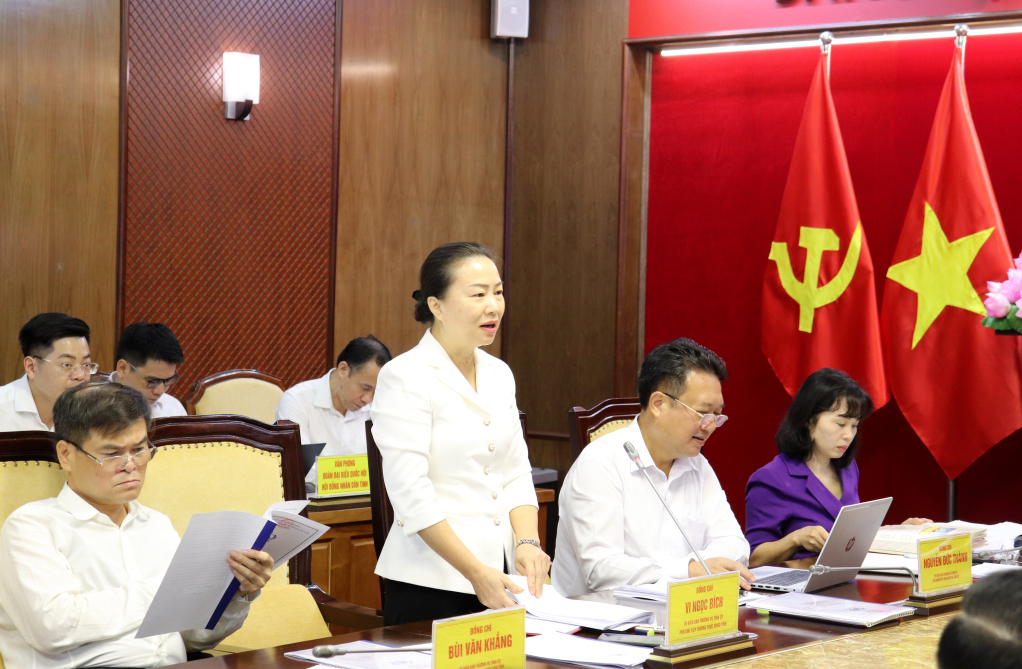 Đồng chí Vi Ngọc Bích, Phó Chủ tịch Thường trực HĐND tỉnh, phát biểu tại hội nghị.