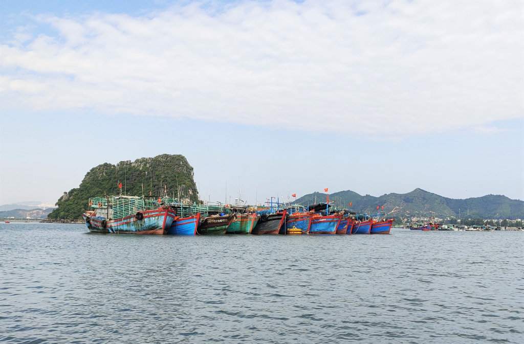 Toàn huyện Vân Đồn có 1.254 tàu thuyền đánh bắt thuỷ hải sản.