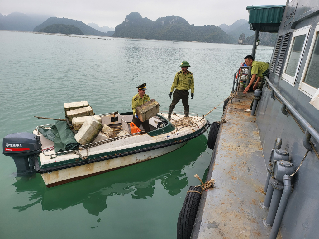 Ban quản lý Vườn quốc gia Bái Tử Long huy động cán bộ, nhân viên tham gia thu gom phao xốp trên vịnh Bái Tử Long. Ảnh: Phạm Tăng