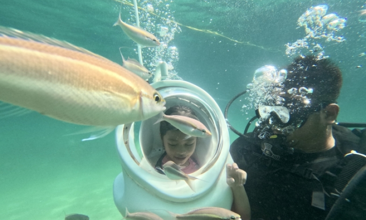 Scuba diving reveals Co To's underwater beauty