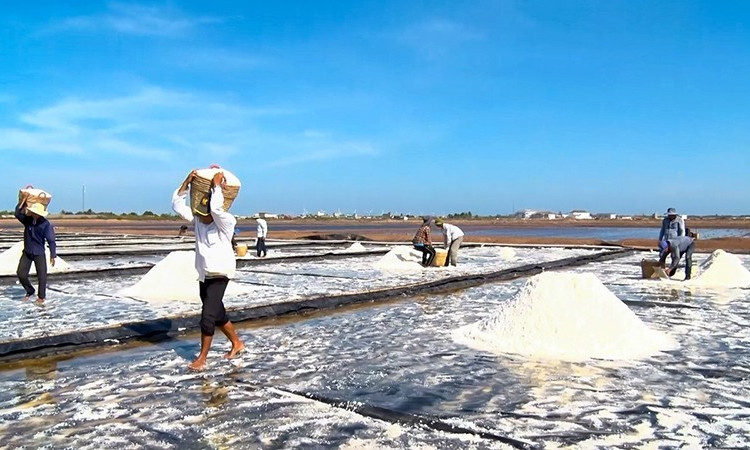 Bac Lieu salt heritage - a taste of perseverance