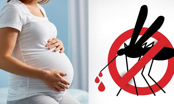 Đối tượng nào dễ trở nặng khi mắc sốt xuất huyết?