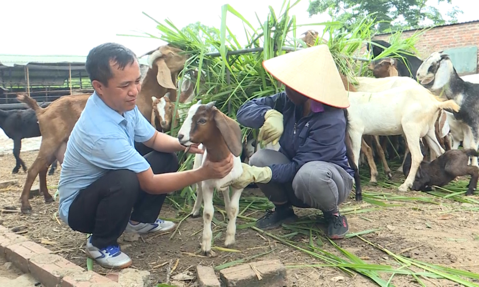 Tập trung các đối tượng nuôi có lợi thế