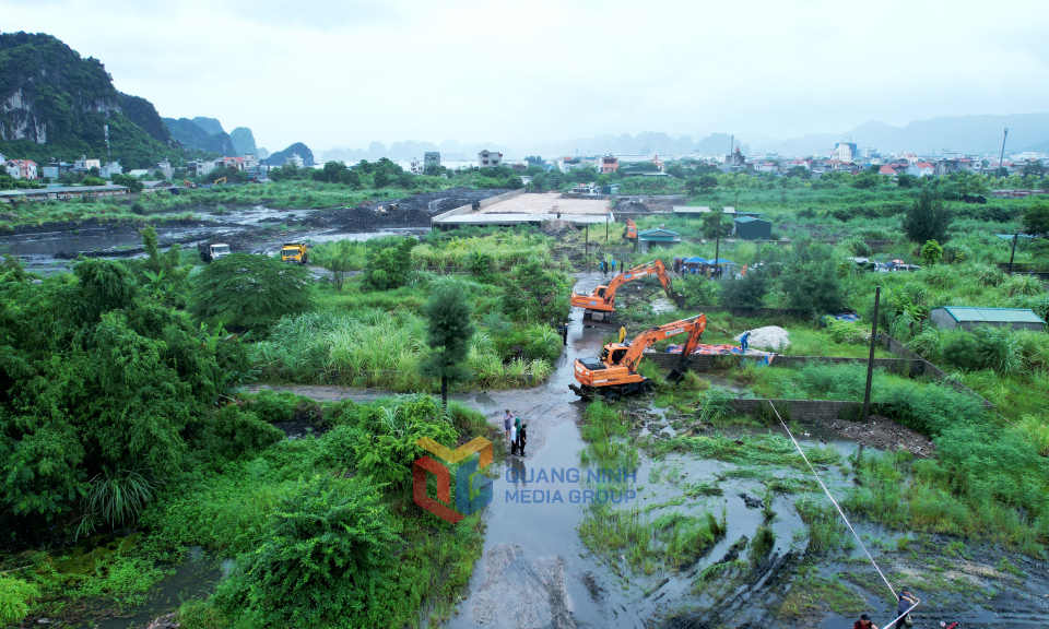 Bản tin Quảng Ninh ngày 03/8/2023