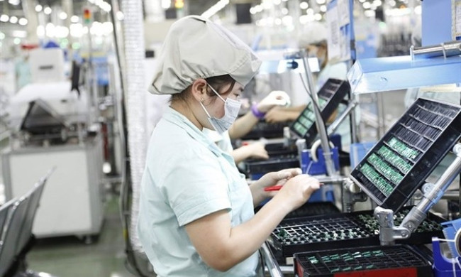 Xuất nhập khẩu bắt đầu khởi sắc