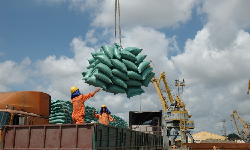 Xuất khẩu gạo đang đứng trước “cơ hội vàng”