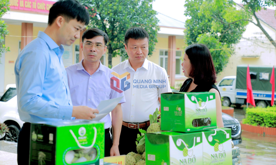 Đẩy mạnh xúc tiến tiêu thụ quả na Đông Triều