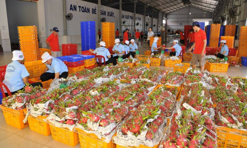 “Rộng cửa” xuất khẩu nông sản sang Trung Quốc