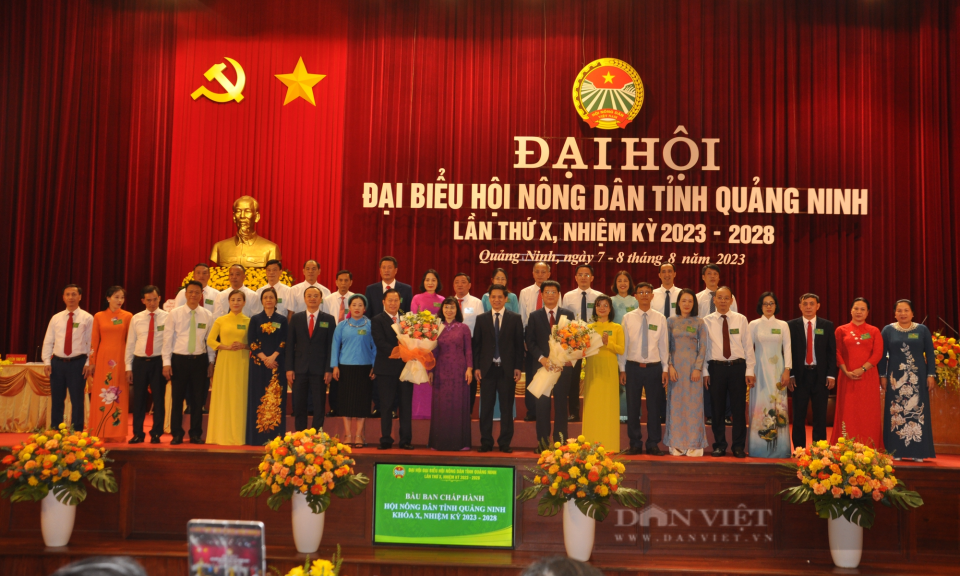 Bản tin Quảng Ninh ngày 8/8/2023