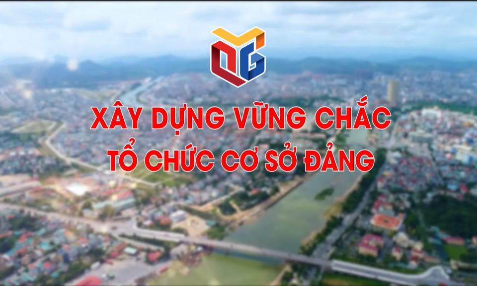 Xây dựng vững chắc tổ chức cơ sở Đảng