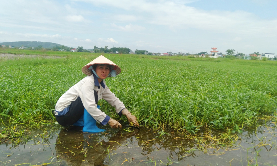 Gương phụ nữ làm kinh tế giỏi, tích cực tham gia các hoạt động Hội
