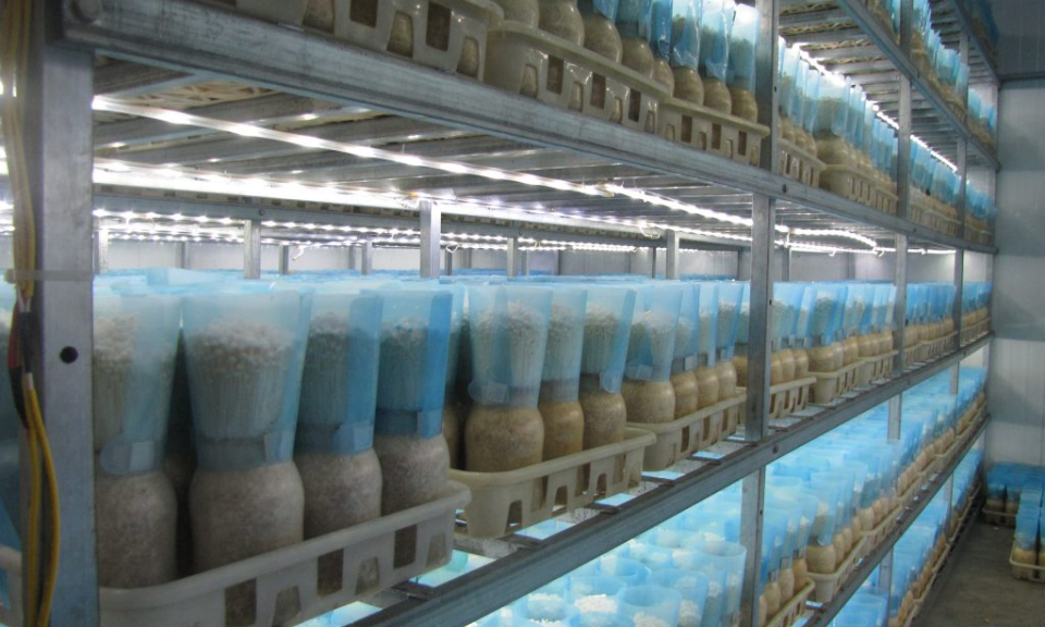 Đông Triều: Đẩy mạnh hỗ trợ hoạt động khoa học công nghệ trong doanh nghiệp