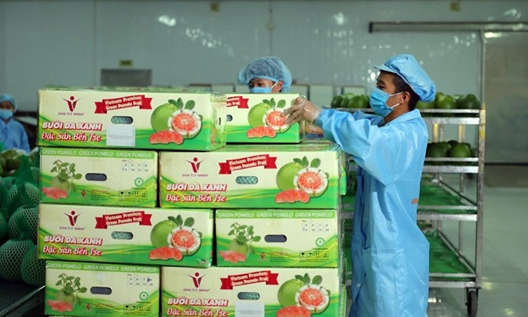 Nông nghiệp vững vàng đà tăng trưởng