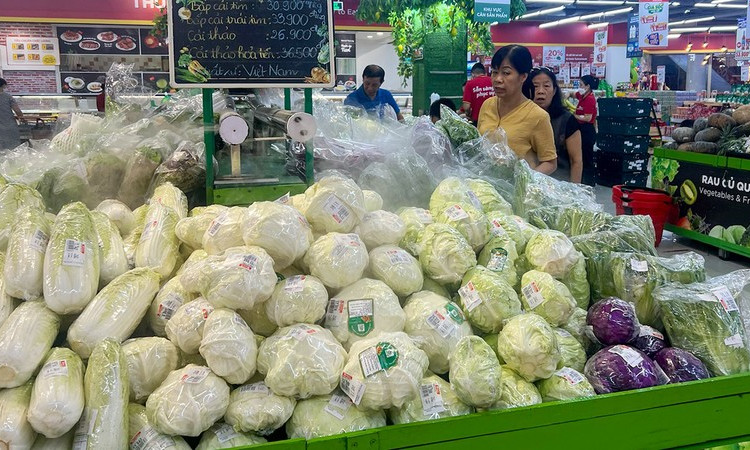 Kinh tế dần lấy lại đà tăng trưởng