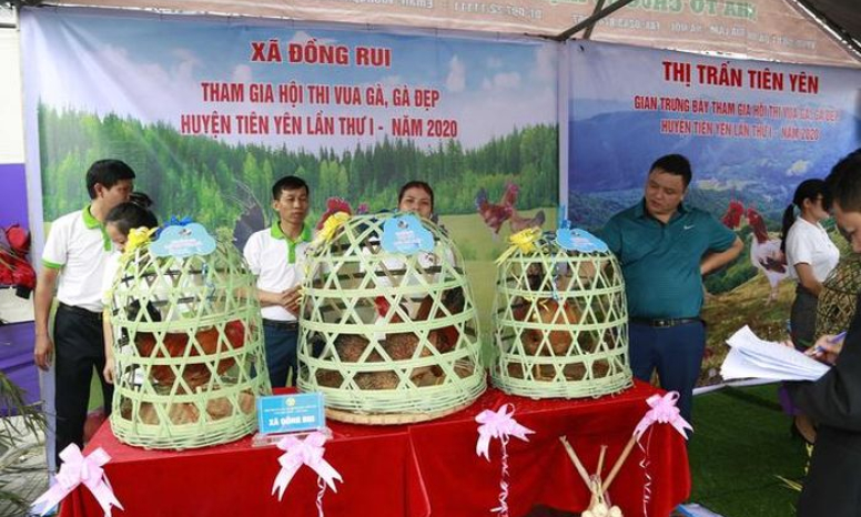 Bản tin Quảng Ninh ngày 14/8/2023