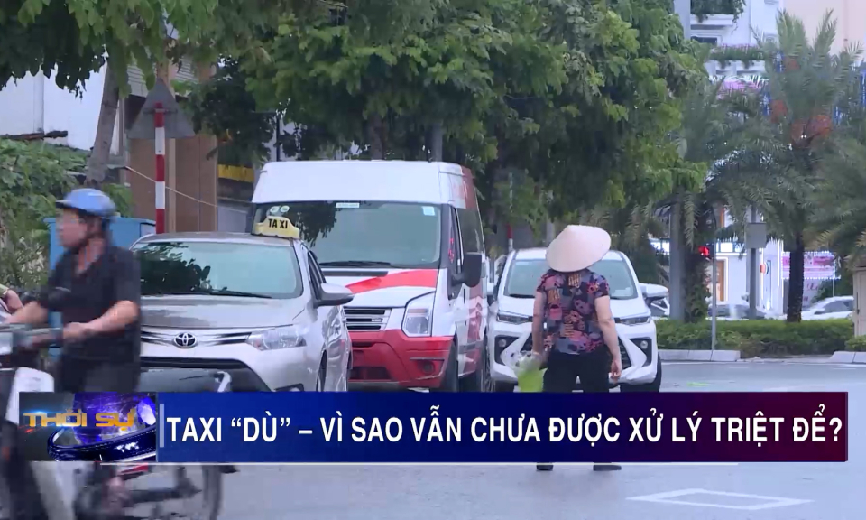 Taxi "dù" - Vì sao vẫn chưa được xử lý triệt để