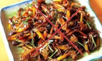 Người phụ nữ tử vong sau khi ăn một con châu chấu rang