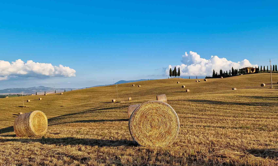 Thiên nhiên thơ mộng ở vùng quê Tuscany, Ý