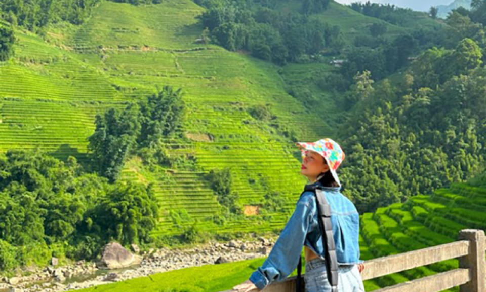 Sáu điểm ngắm mùa lúa chín sớm ở Sa Pa dịp 2/9