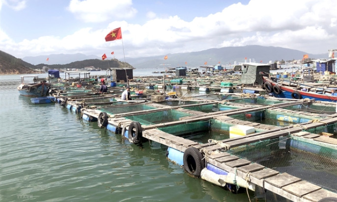 Large potential for mariculture