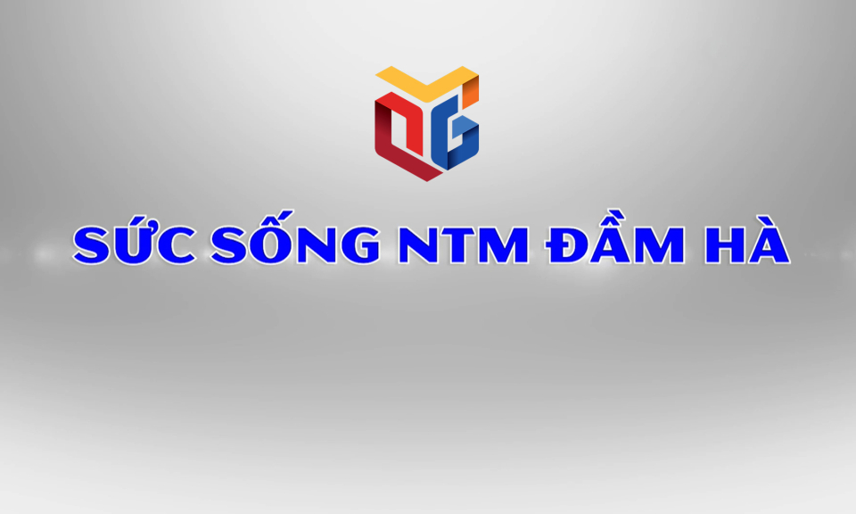 Sức sống nông thôn mới Đầm Hà