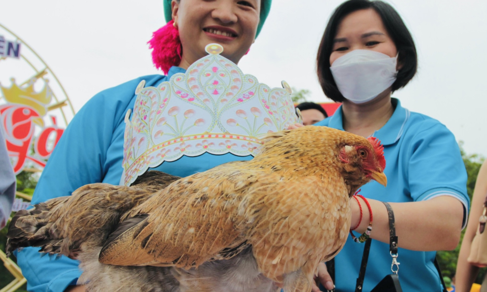 Lần đầu tiên thi Hoa hậu gà Tiên Yên