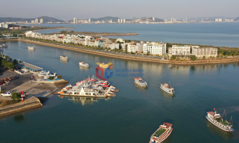 Chuyến "lội ngược dòng" ngoạn mục
