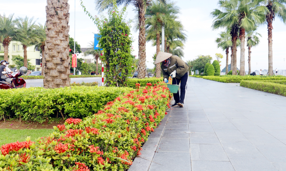 Chuyện về những người làm đẹp phố phường 