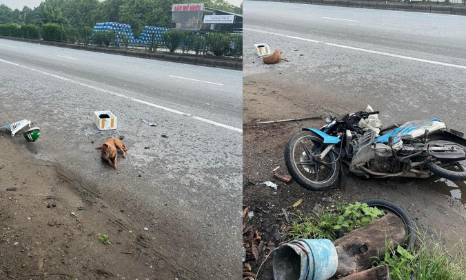 Thanh niên nghi trộm chó, tự gây tai nạn phải nhập viện gấp