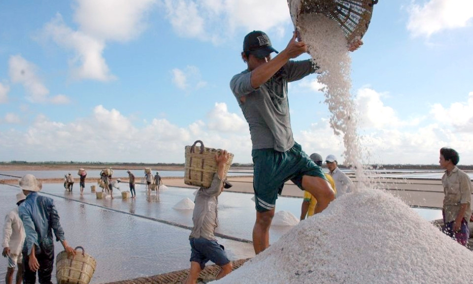 Sớm có giải pháp để muối đáp ứng ngành công nghiệp
