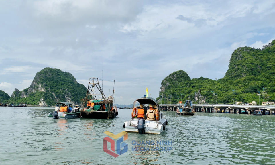 Cơ bản không còn tàu neo đậu trái phép ven bờ Vịnh Hạ Long