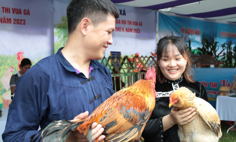 Phát triển giống vật nuôi bản địa