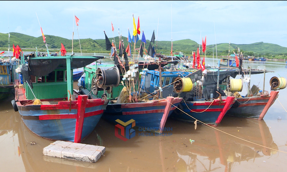 Hải Hà: Tập trung triển khai các giải pháp khắc phục lỗi cảnh báo về IUU