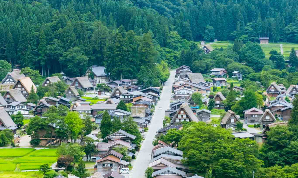 Mùa Hè xanh mát tại làng cổ Shirakawa-go, Nhật Bản