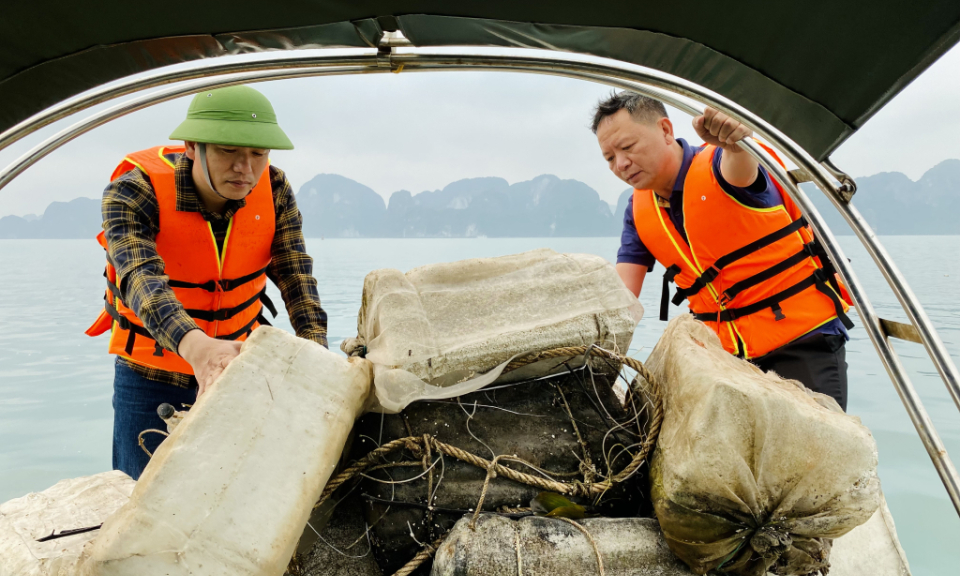 Hiệu quả sử dụng nguồn lực trong bảo vệ môi trường