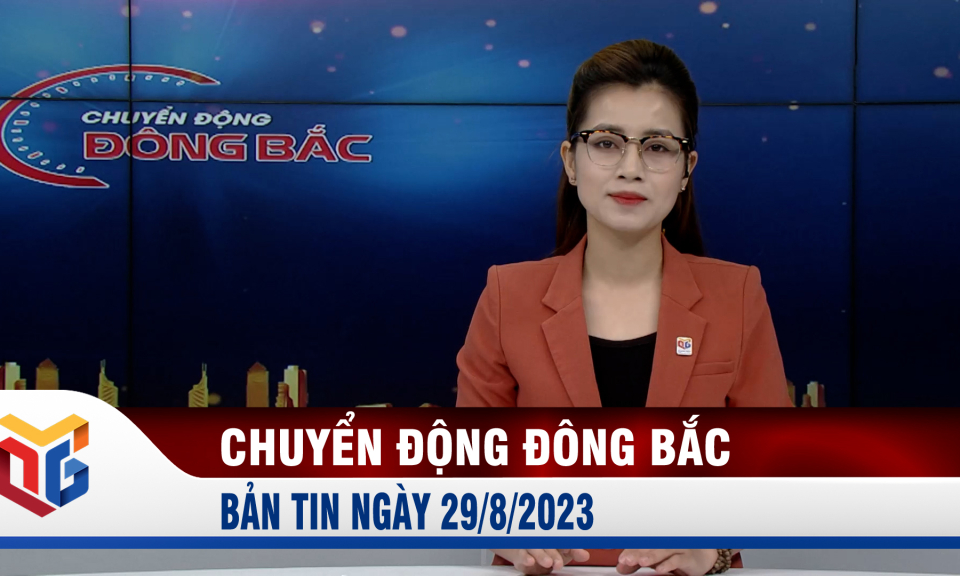 Chuyển động Đông Bắc ngày 29/8/2023