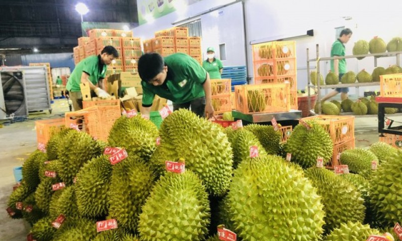 Trung Quốc chi 2,2 tỷ USD nhập rau quả Việt Nam, tăng 130%