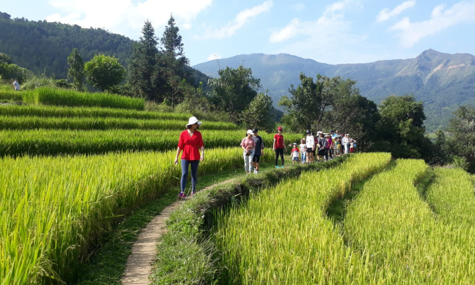 弘扬特色文化，促进社区旅游发展