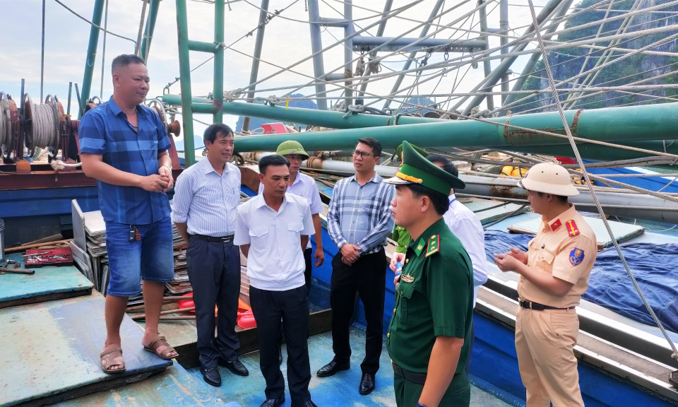 Vân Đồn ra quân xử lý tàu cá khai thác hải sản bất hợp pháp, không báo cáo và không theo quy định 