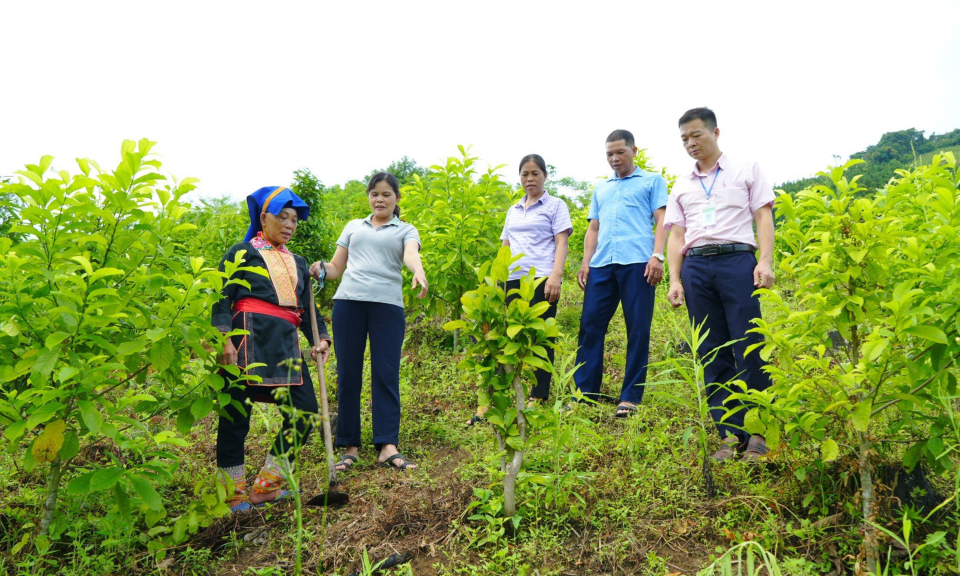 Nông thôn mới luôn có cái mới