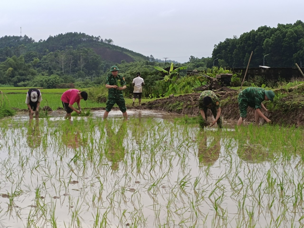 CBCS Đồn BP Bắc Sơn giúp nhân dân xã Bắc Sơn cấy lúa vụ mùa 2023