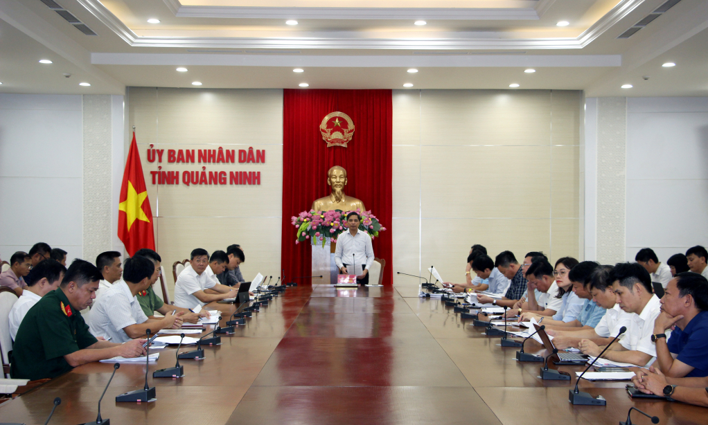 Đồng chí Vũ Văn Diện, Phó Chủ tịch UBND tỉnh, phát biểu kết luận.