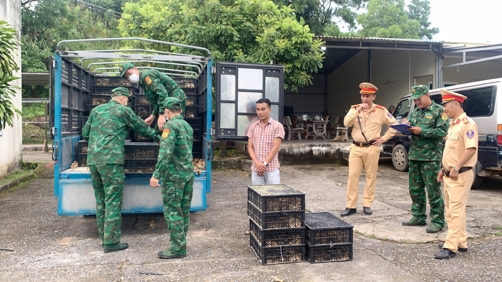 Người, phương tiện và tang vật bị lực lượng BĐBP bắt giữ.