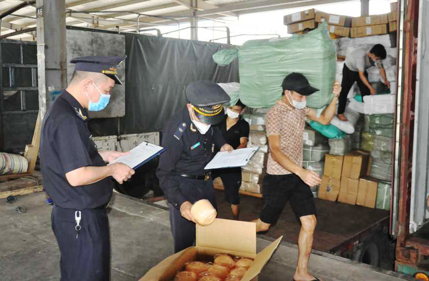 Cán bộ Chi cục Hải quan Cửa khẩu Móng Cái kiểm tra hàng hóa nhập khẩu tại Bãi kiểm hóa cầu Bắc Luân II. Ảnh: Hữu Việt