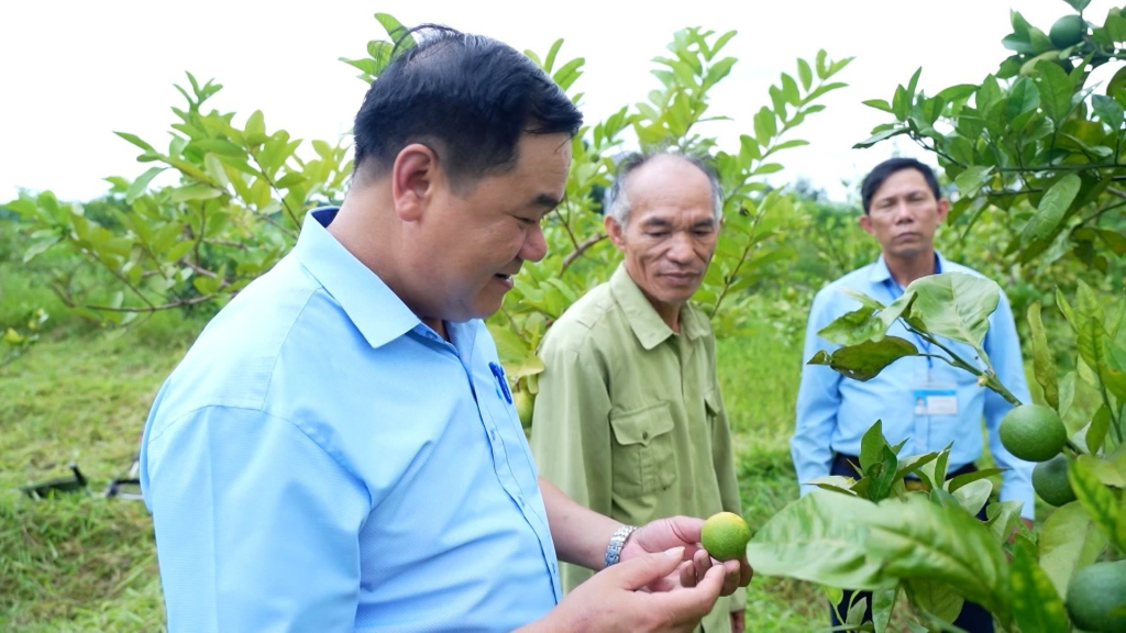 Nông dân Đầm Hà thăm quan các mô hình kinh tế nông nghiệp tiêu biểu trên địa bàn.