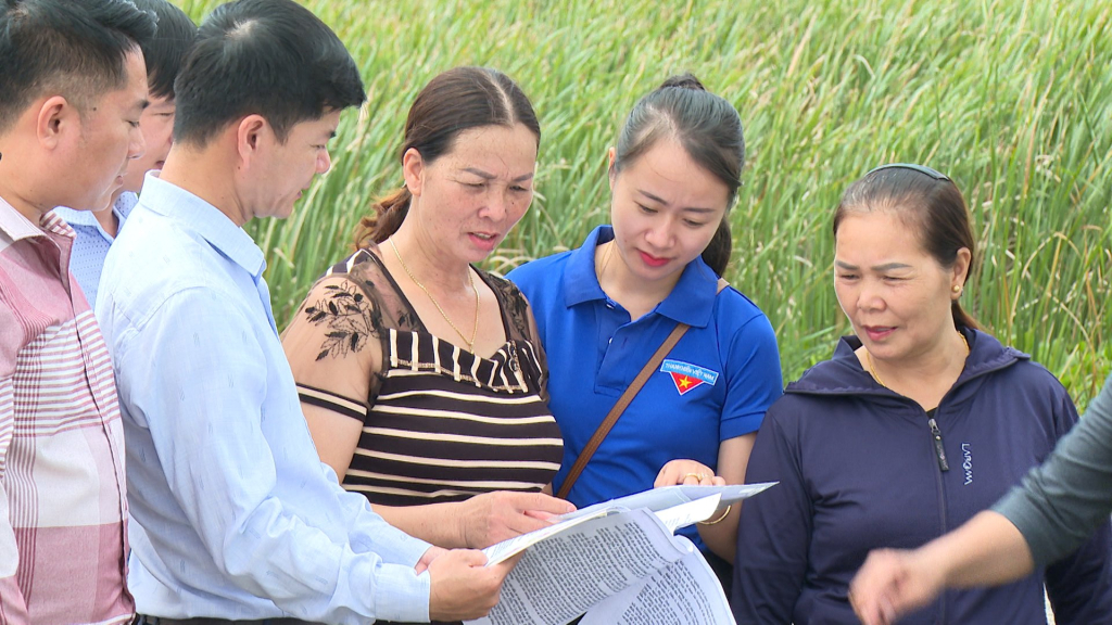 Nông dân TX Quảng Yên phối hợp đơn vị chức năng kiểm đếm diện tích GPMB phục vụ các dự án lớn.