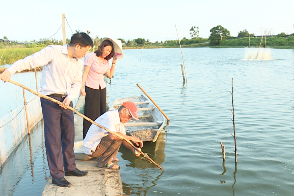 Ông Đỗ Ngọc Nam, Chủ tịch HND tỉnh thăm một mô hình nuôi tôm thẻ của nông dân TX Quảng Yên.